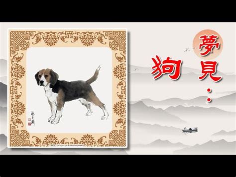 夢見狗來我家|夢見狗